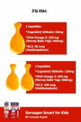 Sorvagen Smart Kids Sitikolin Dha Omega 3 B12 60 Kapsül